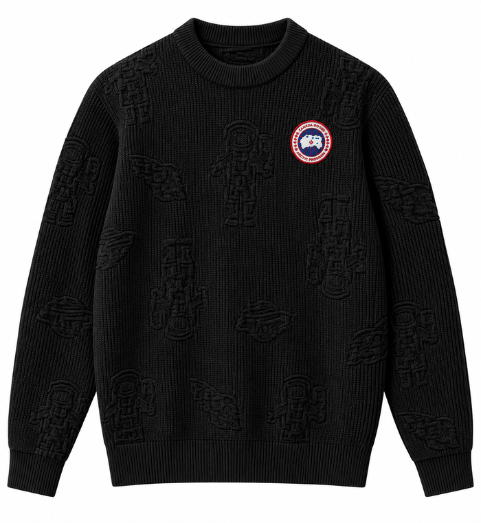 Pull Canada Goose Arctic Program – Noir